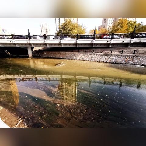 哈尔滨异味相关长尾关键词有哪些