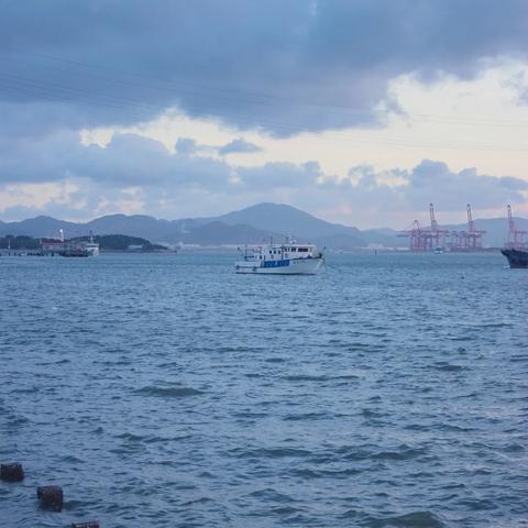 厦门市的八月天气怎么样