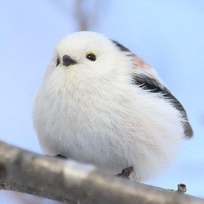 电影恶梦的长尾关键词有什么