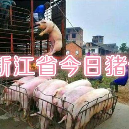 浙江省温州市今日猪价的长尾关键词有哪些