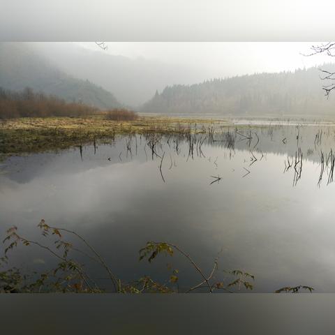 成都市区怎么去郊区方便