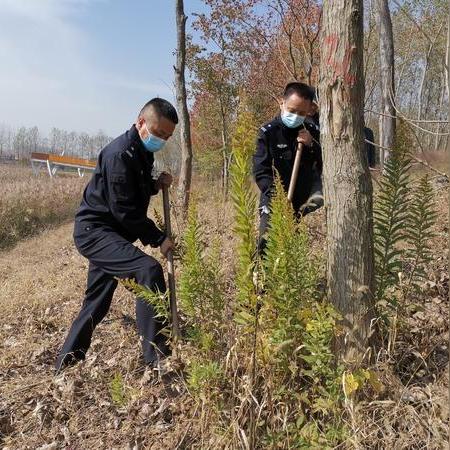 周口和河南哪个发达一些