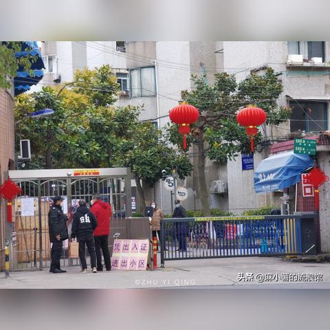 盘点爸爸在上海疫情中去世相关关键词有哪些