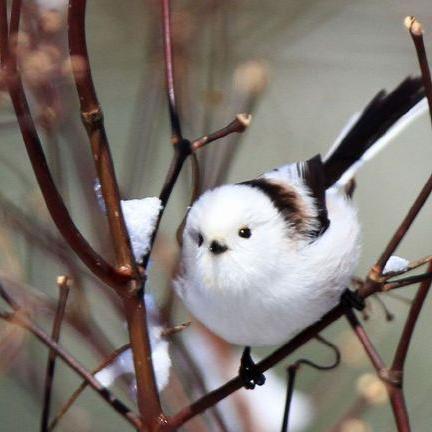 今天气温记录的长尾关键词有什么