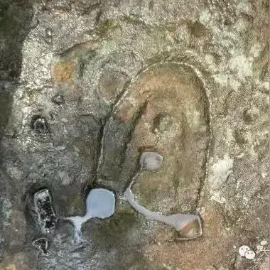 漳浦龙湖中学高中部怎么样？