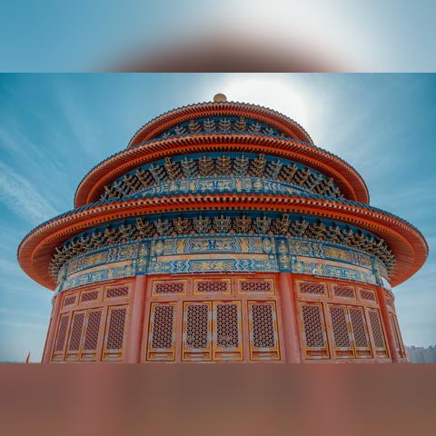 金丝楠木树苗在甘肃兰州能种吗？