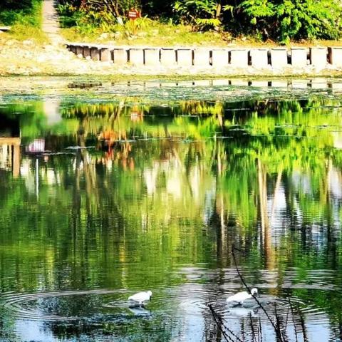 2025.12.12成都今天空气质量指数怎么样