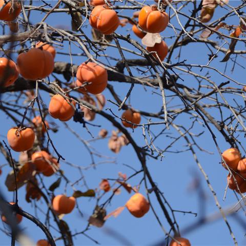 沈阳市哪个区的面积最大