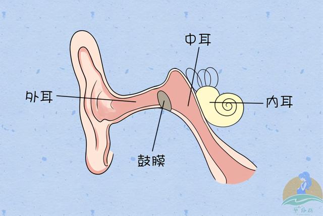 孕期要说“不”的生活细节