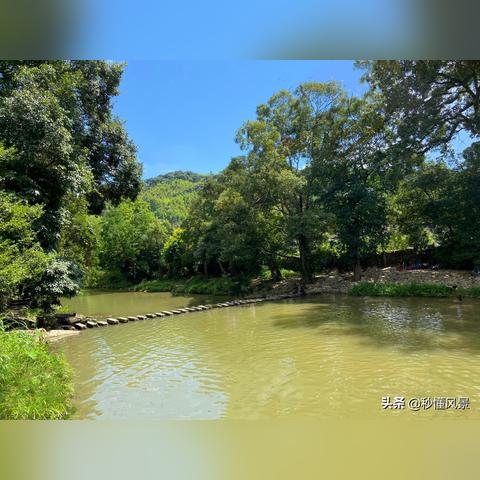 福州哪家宠物诊所最靠谱？