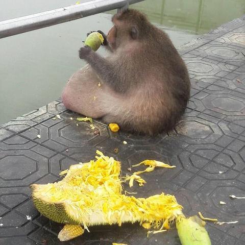 夏日简单饮品做法大全的长尾关键词是什么