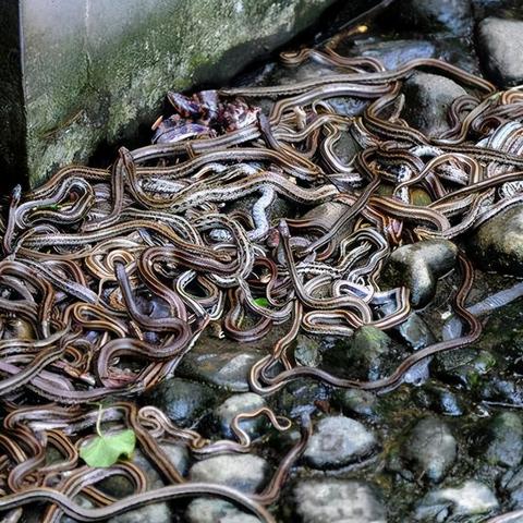 沈阳市和大连市哪个人口多