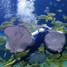 西安市星期四是什么天气