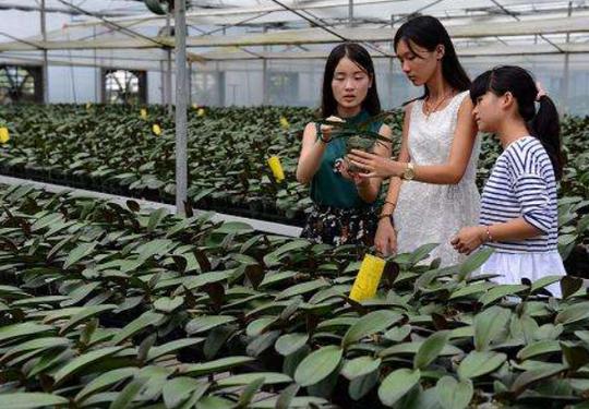 适合农民返乡创业的3个项目，投资小利润大，农民为啥无动于衷？