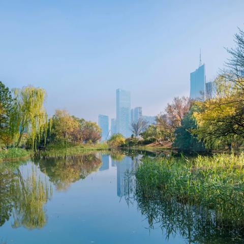 合肥市新中心属于哪个区