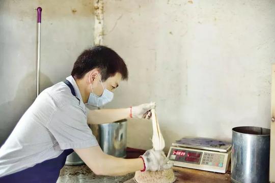 创业故事：一颗茶树上开出的智慧之花