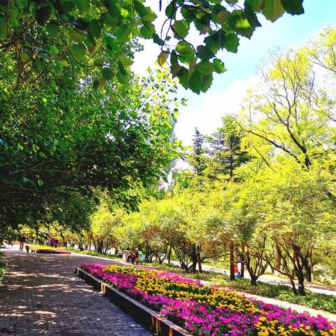 哈尔滨市有哪些好的公园