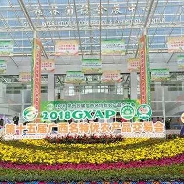 桂林市艺术展馆在哪里