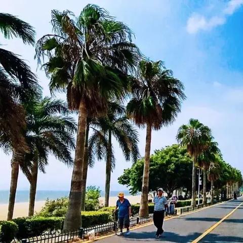 厦门市环岛路沙滩公园在哪里