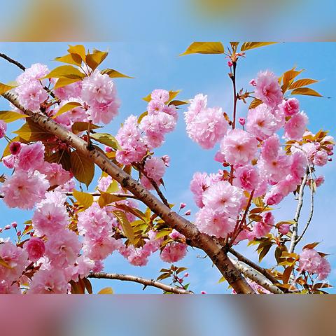 宁波市高新区房子怎么样