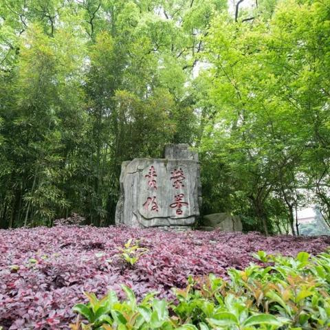 重庆外国语学校官方网站相关长尾关键词有哪些