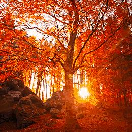 石家庄市红叶景区的长尾关键词有什么