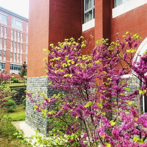 大连艺术大学怎么样的相关长尾关键词有哪些