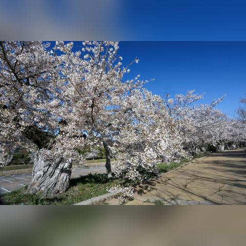 大连市龙王塘在什么地方