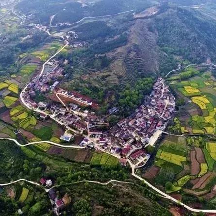 武汉市辖是指哪个镇