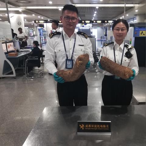 成都市海关在哪里