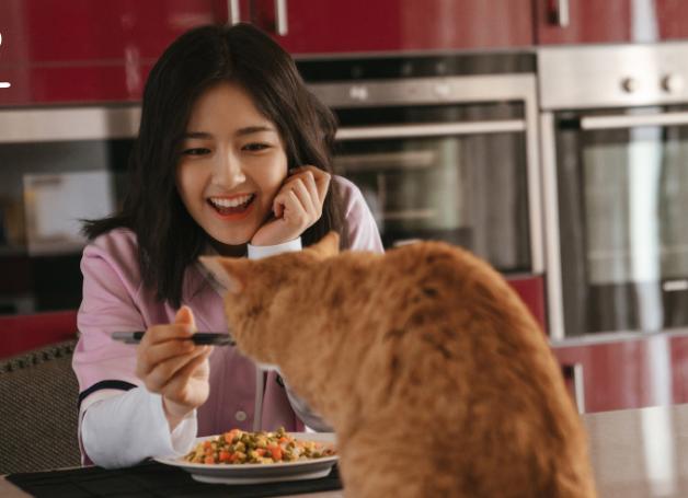 美食视频都用什么录制（如何给视频配声音）