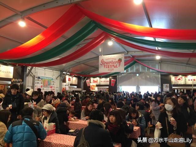 交通科技论文结束语车牌字母结尾的如何算啊