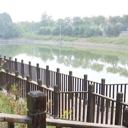 石家庄市阳光小学跑步的长尾关键词有什么