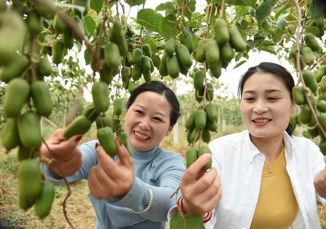 提高宝宝耐寒能力吃什么？