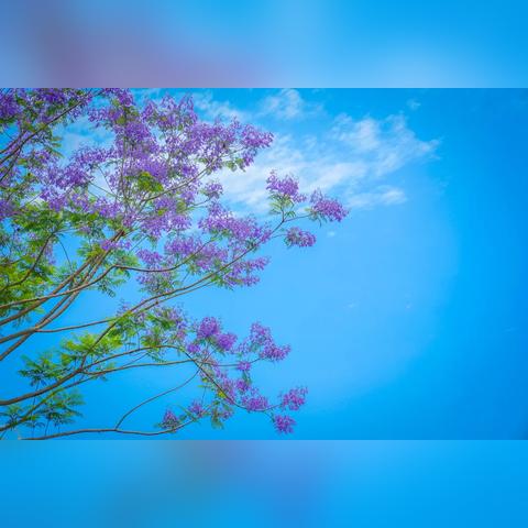 重庆娃儿怎么样