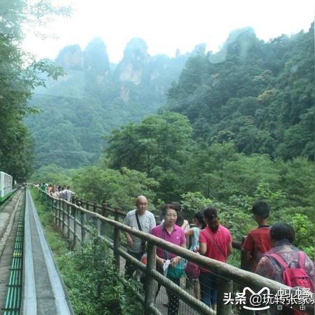 沈阳市张家界路是哪个区