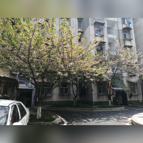 武汉市什么时候取消封城