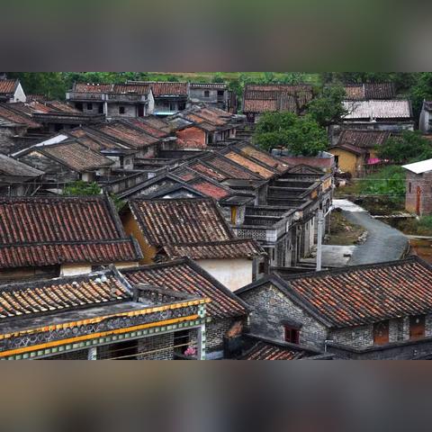 保定市新兴镇有哪些村