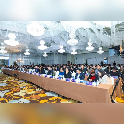连连跨境电商运营工具的相关长尾关键词有什么