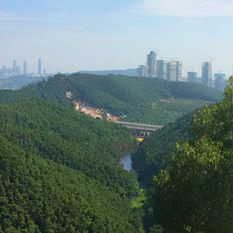 南宁市建设路是哪个区的