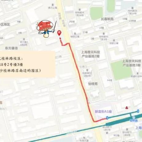徐汇区桂林路相关长尾关键词有哪些