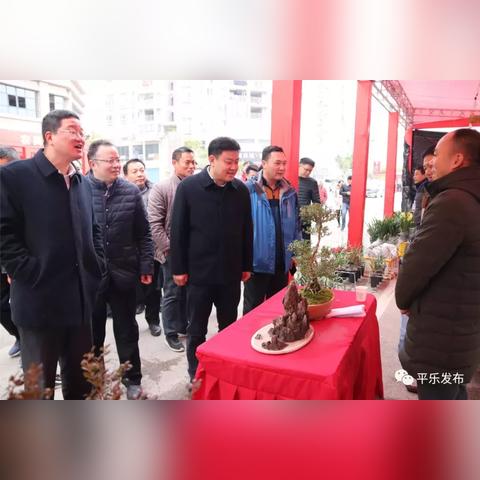 桂林竹鼠养殖技术相关长尾关键词有哪些