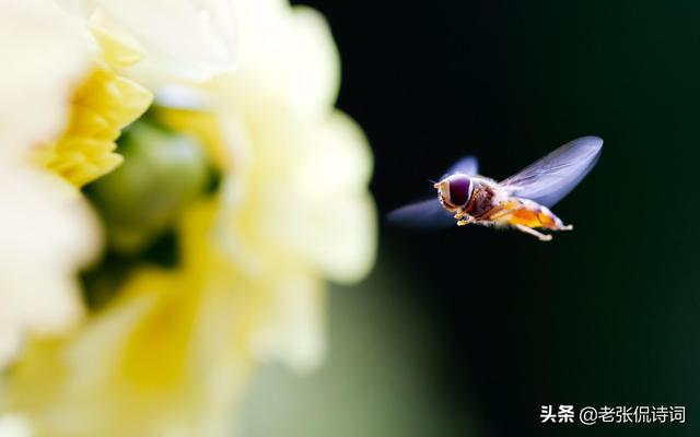 一千年前小朋友写的字是怎样的
