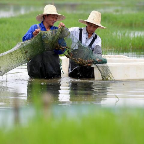 长沙到潜江的火车相关长尾关键词有哪些