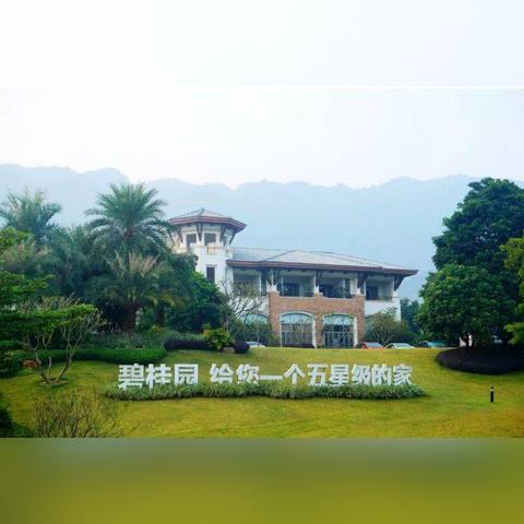 广州禁止打麻将吗？