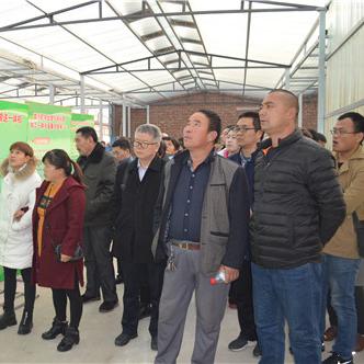 石家庄市环保品牌公司的长尾关键词有哪些
