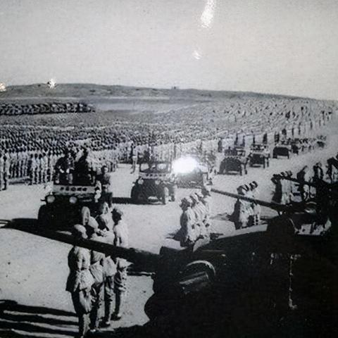 大嶝岛的占地面积是多少？