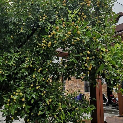 宁波58同城厨师招聘的相关长尾关键词有哪些