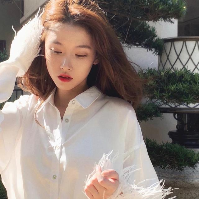 半藏森林是什么梗?