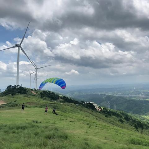 南宁市全市排名怎么查